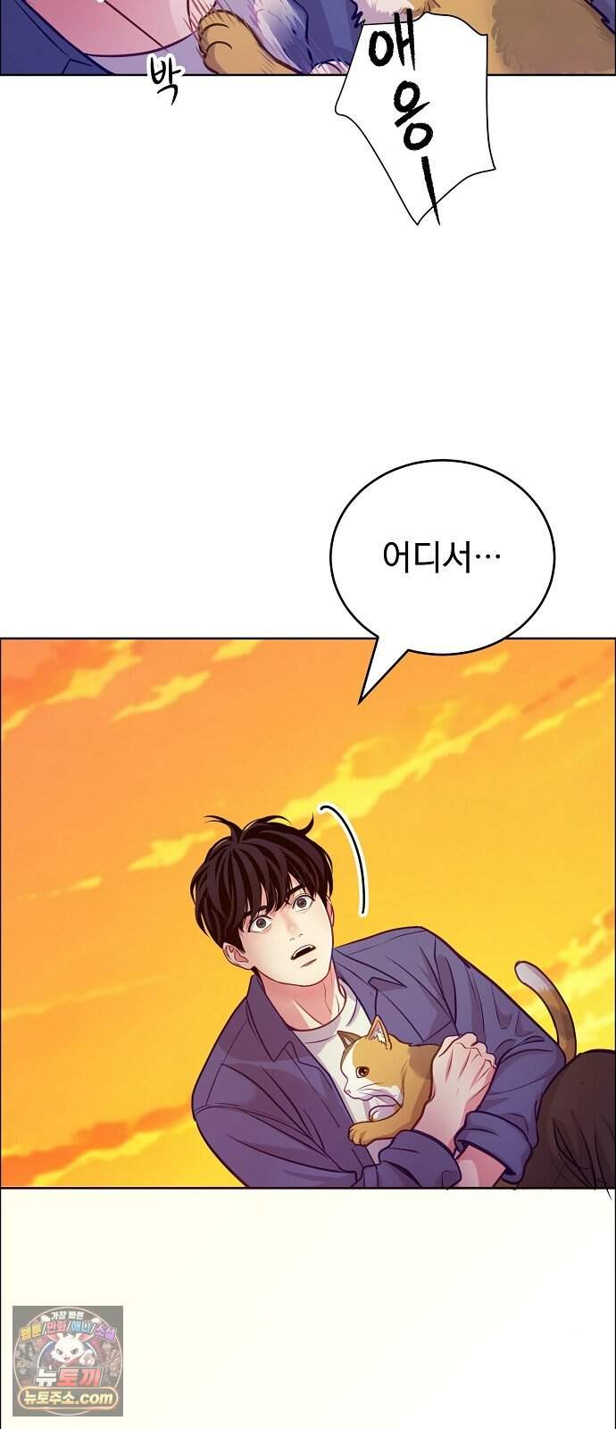 범상한 변호사의 아공간 37화 67