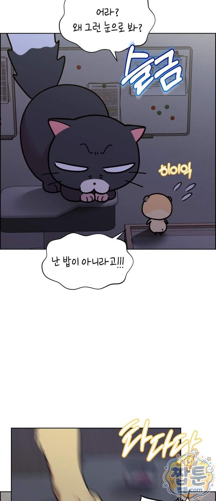 냥냥찍찍! 74화 35