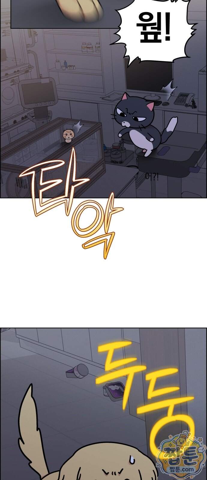 냥냥찍찍! 74화 36