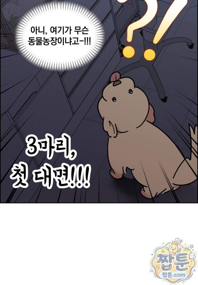 냥냥찍찍! 74화 38