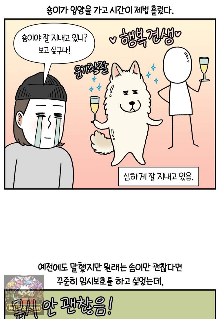 극한견주 시즌2 154화 단기 임시보호 시작 2