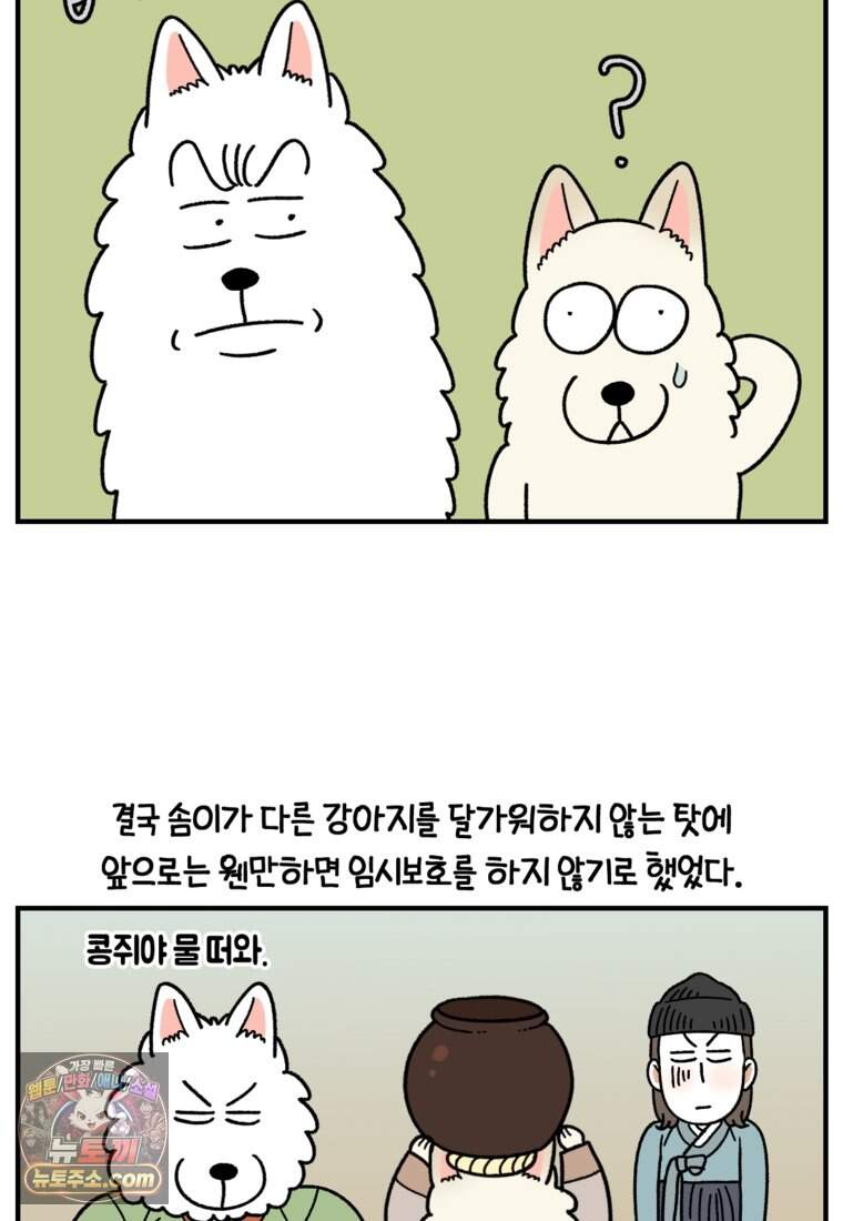극한견주 시즌2 154화 단기 임시보호 시작 3