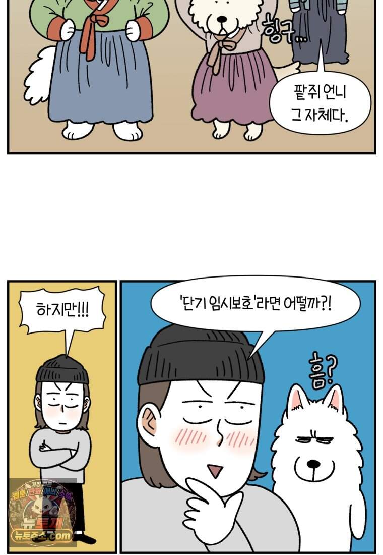극한견주 시즌2 154화 단기 임시보호 시작 4