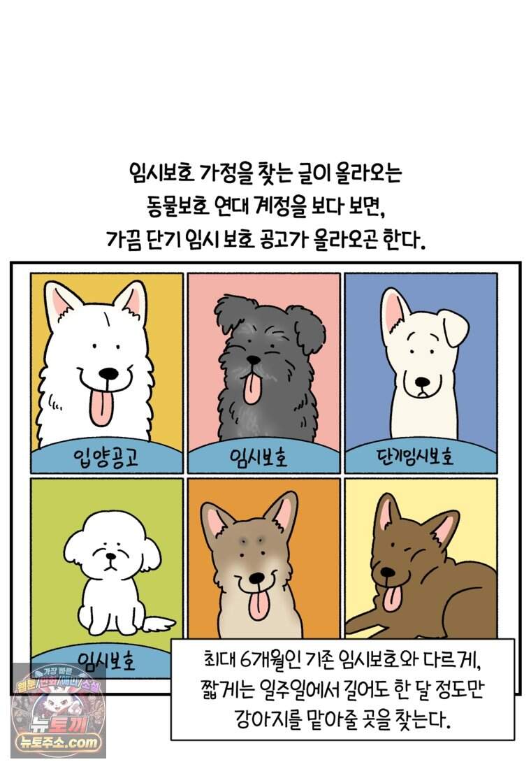 극한견주 시즌2 154화 단기 임시보호 시작 5