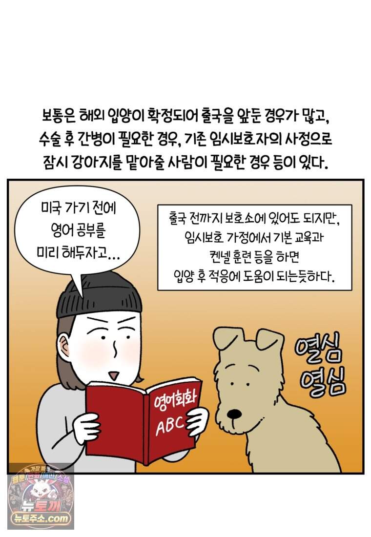 극한견주 시즌2 154화 단기 임시보호 시작 6