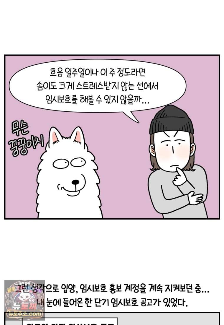 극한견주 시즌2 154화 단기 임시보호 시작 7