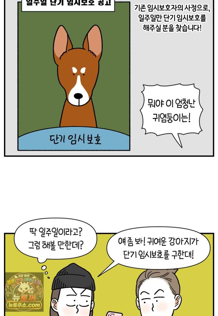 극한견주 시즌2 154화 단기 임시보호 시작 8