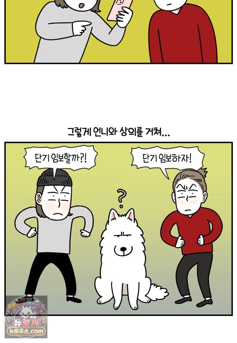 극한견주 시즌2 154화 단기 임시보호 시작 9