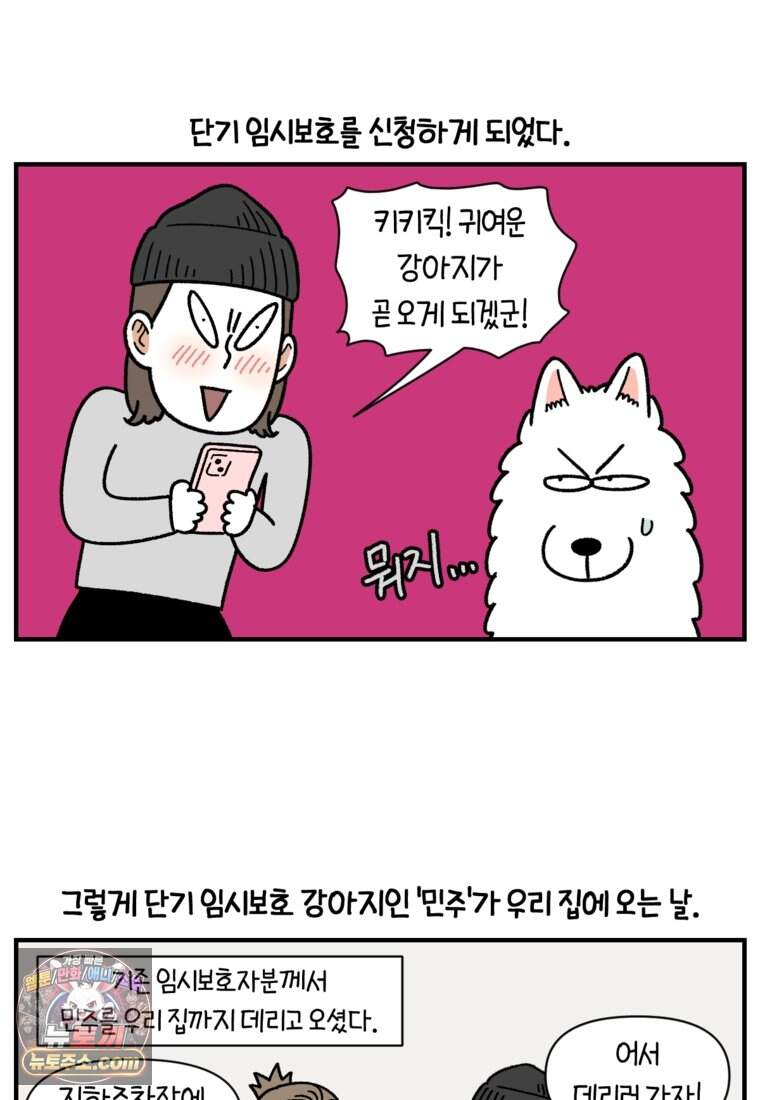 극한견주 시즌2 154화 단기 임시보호 시작 10