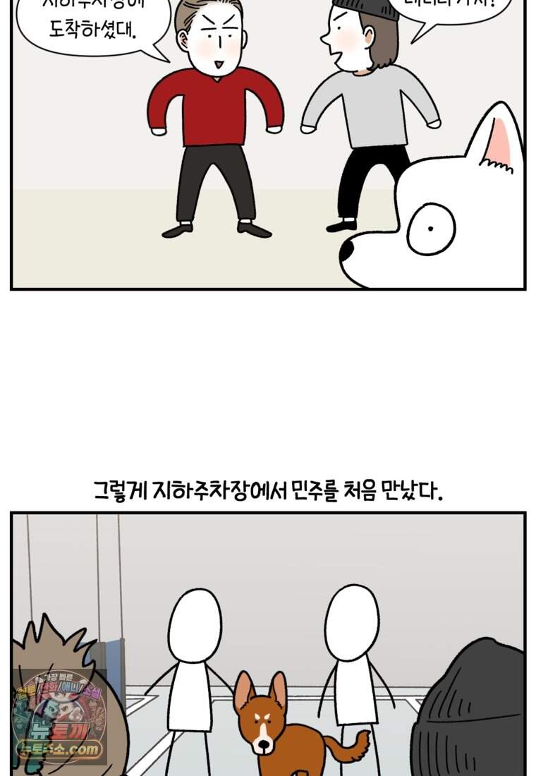 극한견주 시즌2 154화 단기 임시보호 시작 11