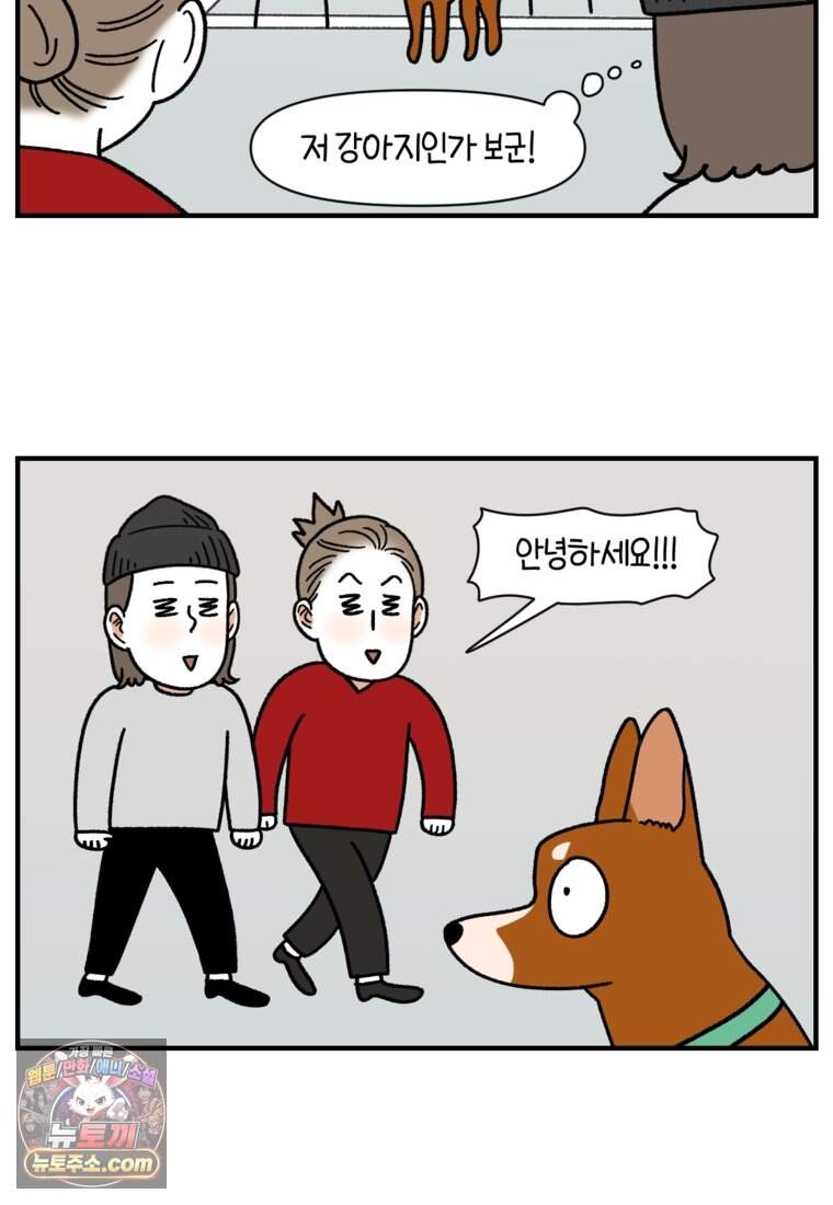 극한견주 시즌2 154화 단기 임시보호 시작 12