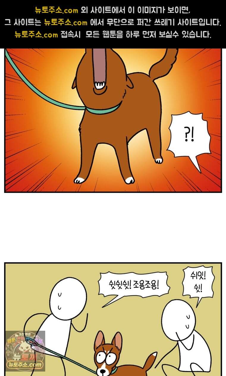 극한견주 시즌2 154화 단기 임시보호 시작 14