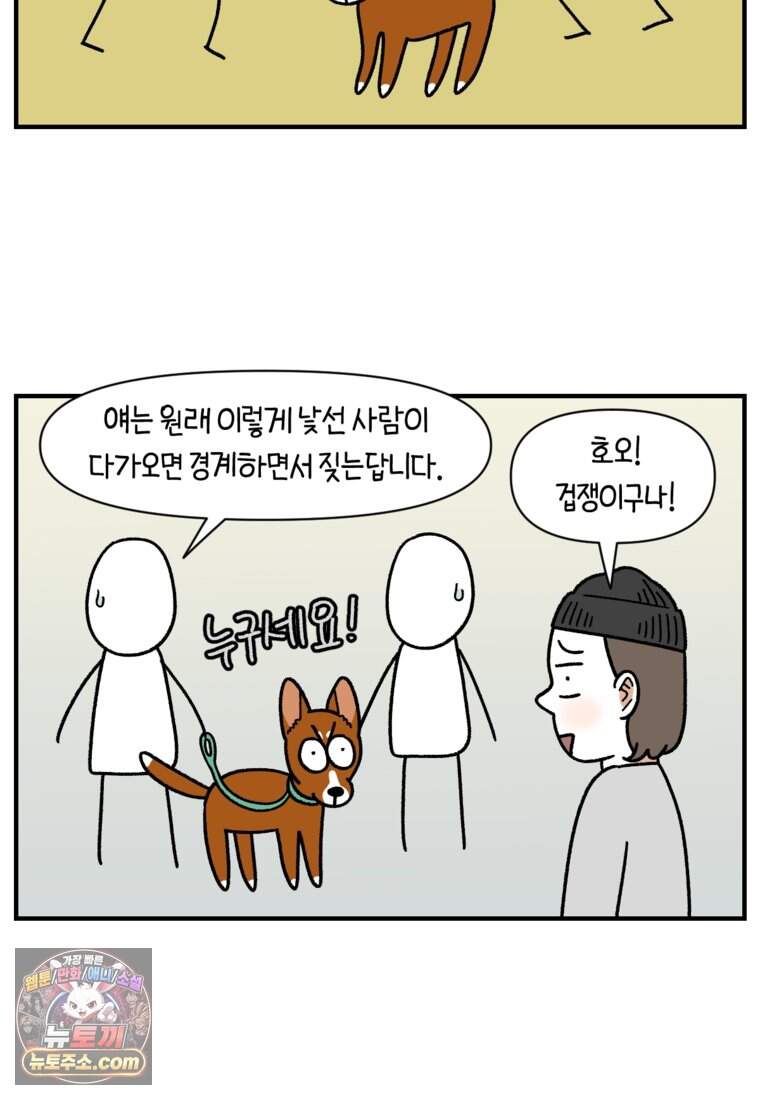 극한견주 시즌2 154화 단기 임시보호 시작 15