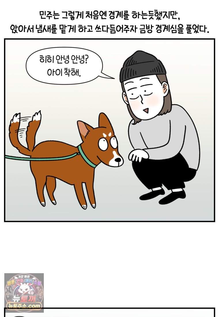 극한견주 시즌2 154화 단기 임시보호 시작 16