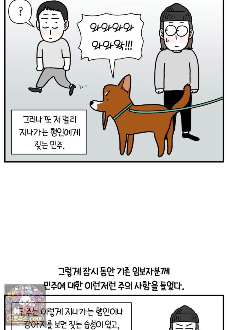 극한견주 시즌2 154화 단기 임시보호 시작 17