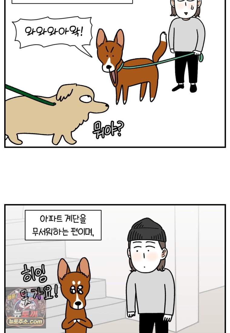 극한견주 시즌2 154화 단기 임시보호 시작 18
