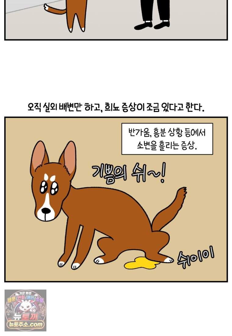 극한견주 시즌2 154화 단기 임시보호 시작 19