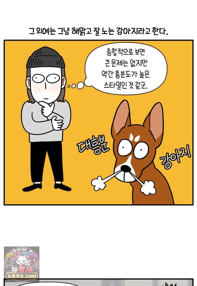 극한견주 시즌2 154화 단기 임시보호 시작 20