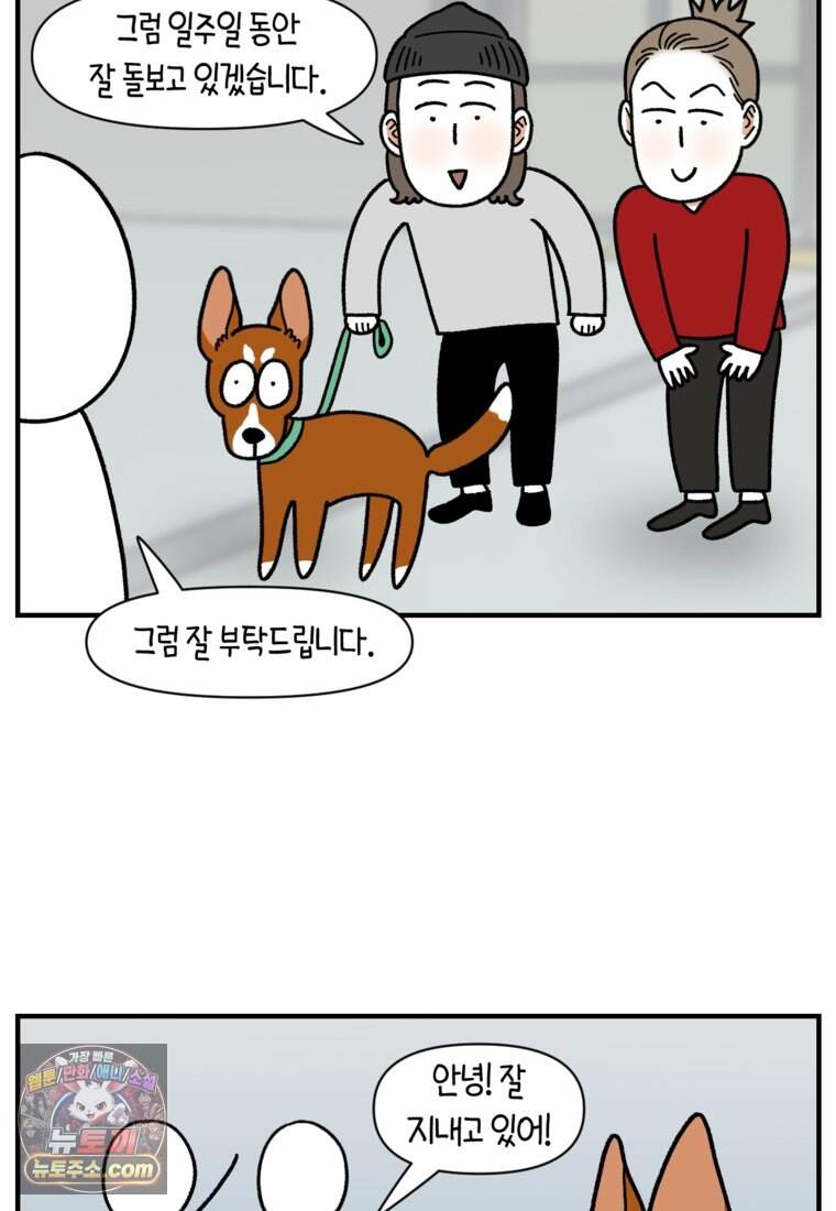 극한견주 시즌2 154화 단기 임시보호 시작 21