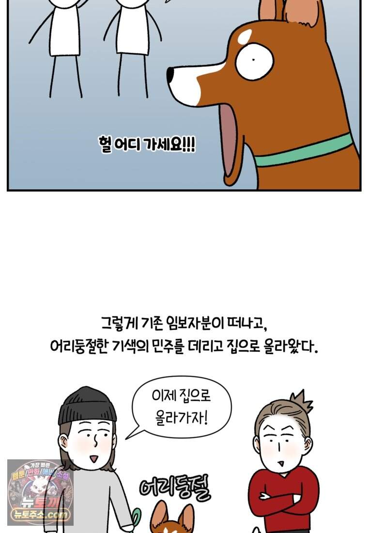 극한견주 시즌2 154화 단기 임시보호 시작 22