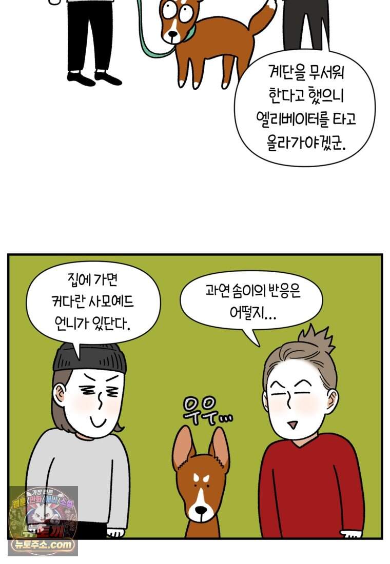 극한견주 시즌2 154화 단기 임시보호 시작 23