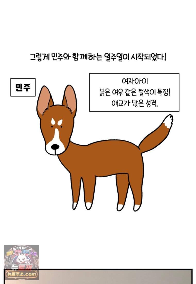 극한견주 시즌2 154화 단기 임시보호 시작 24