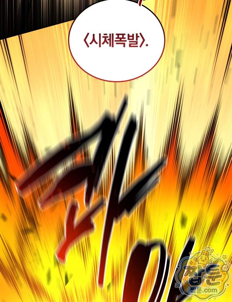 네크로맨서 학교의 소환천재 210화 47