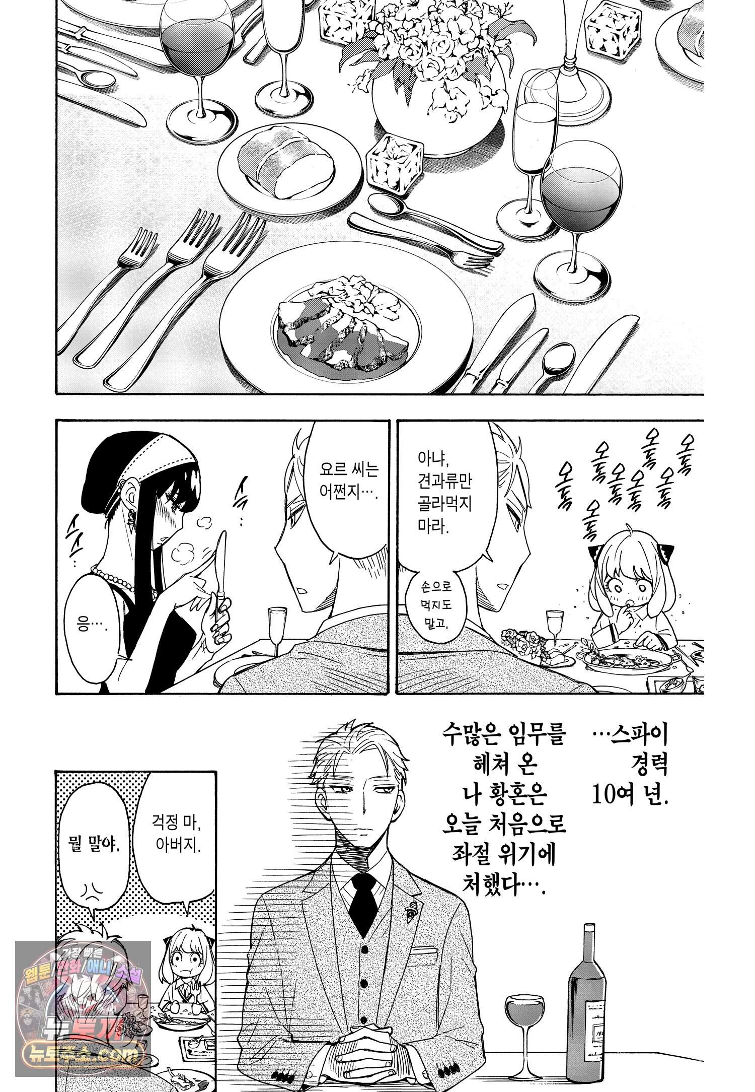 스파이 패밀리 MISSION : 3 13