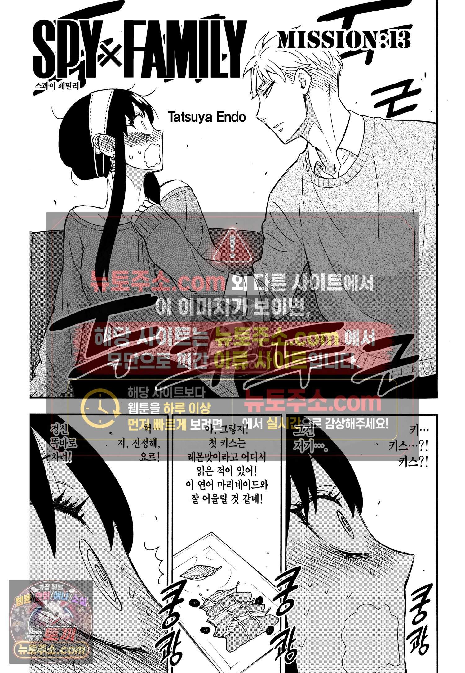 스파이 패밀리 MISSION : 13 2