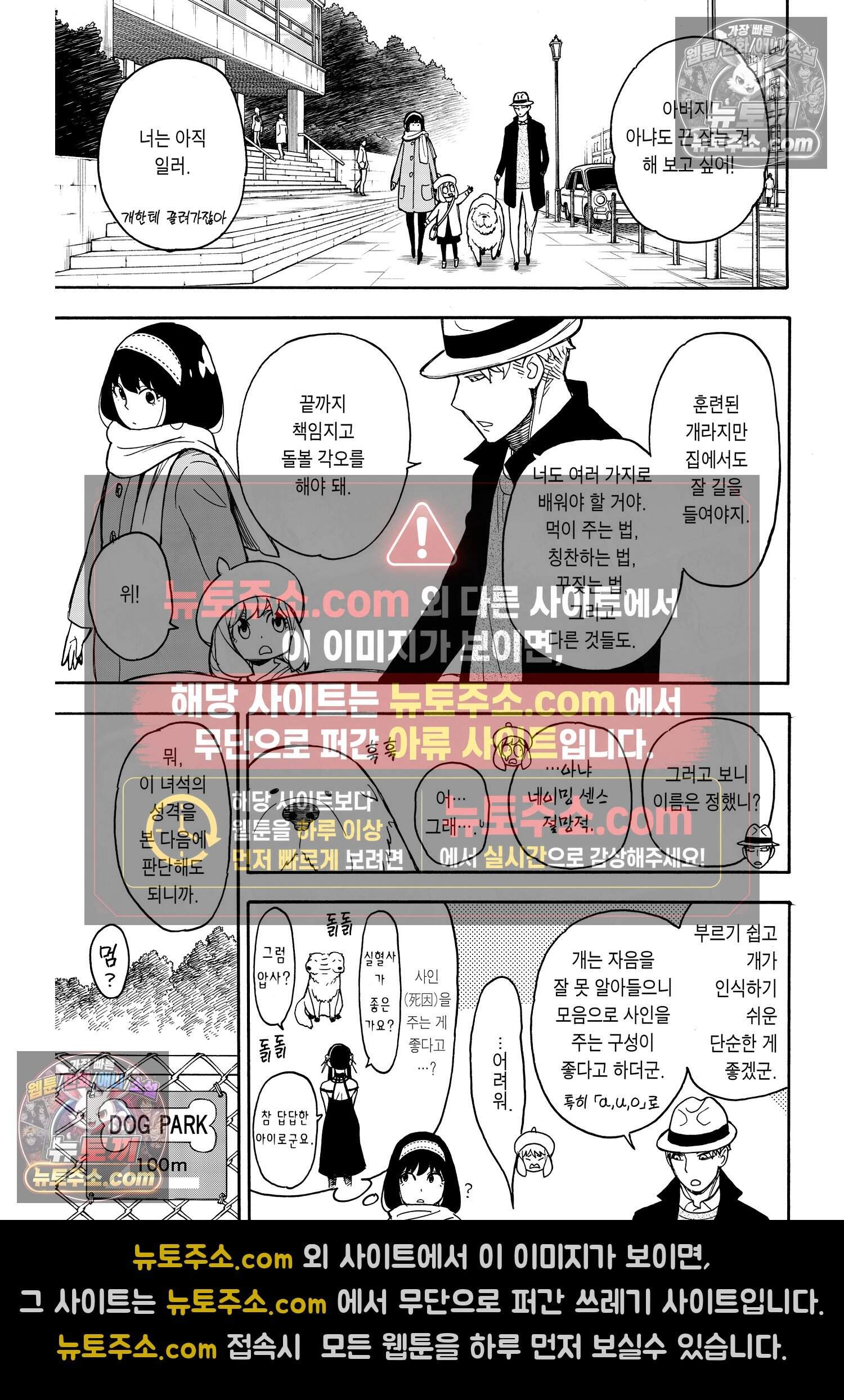 스파이 패밀리 MISSION : 23 12