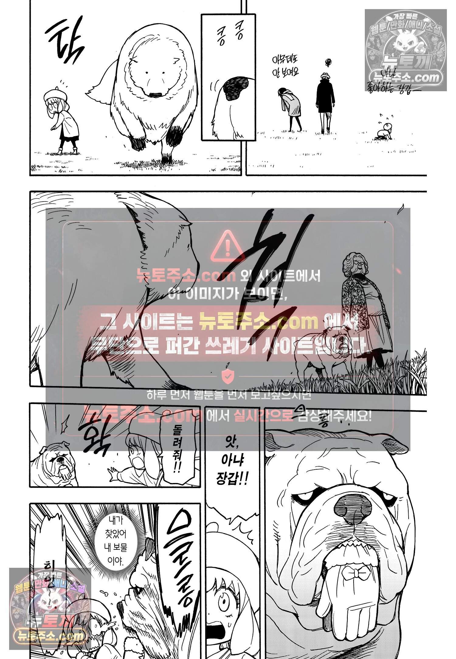 스파이 패밀리 MISSION : 23 17