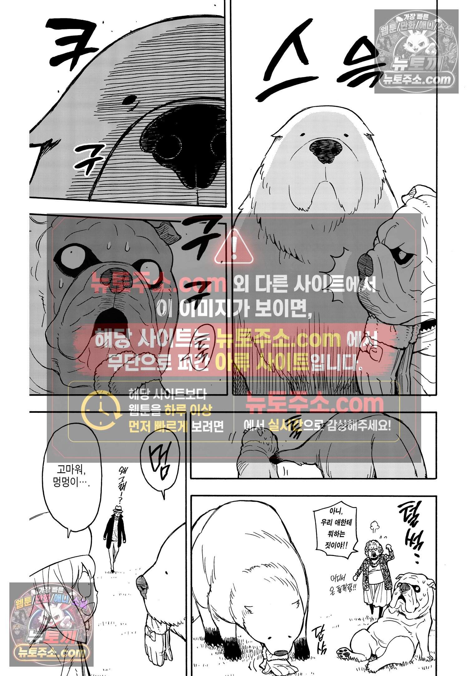 스파이 패밀리 MISSION : 23 18