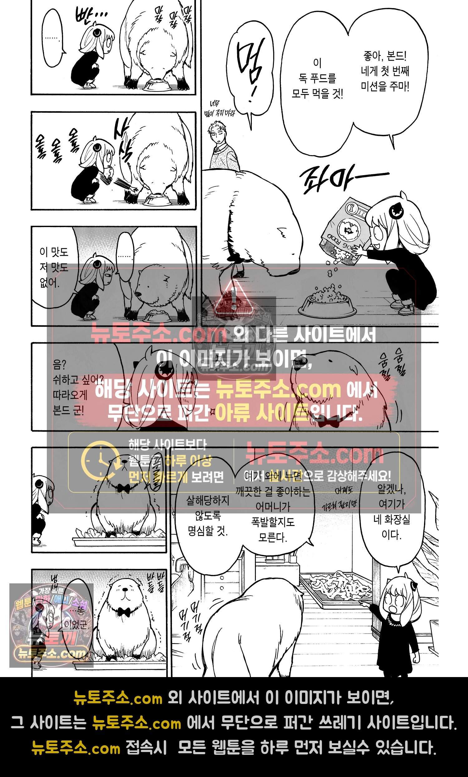 스파이 패밀리 MISSION : 23 21