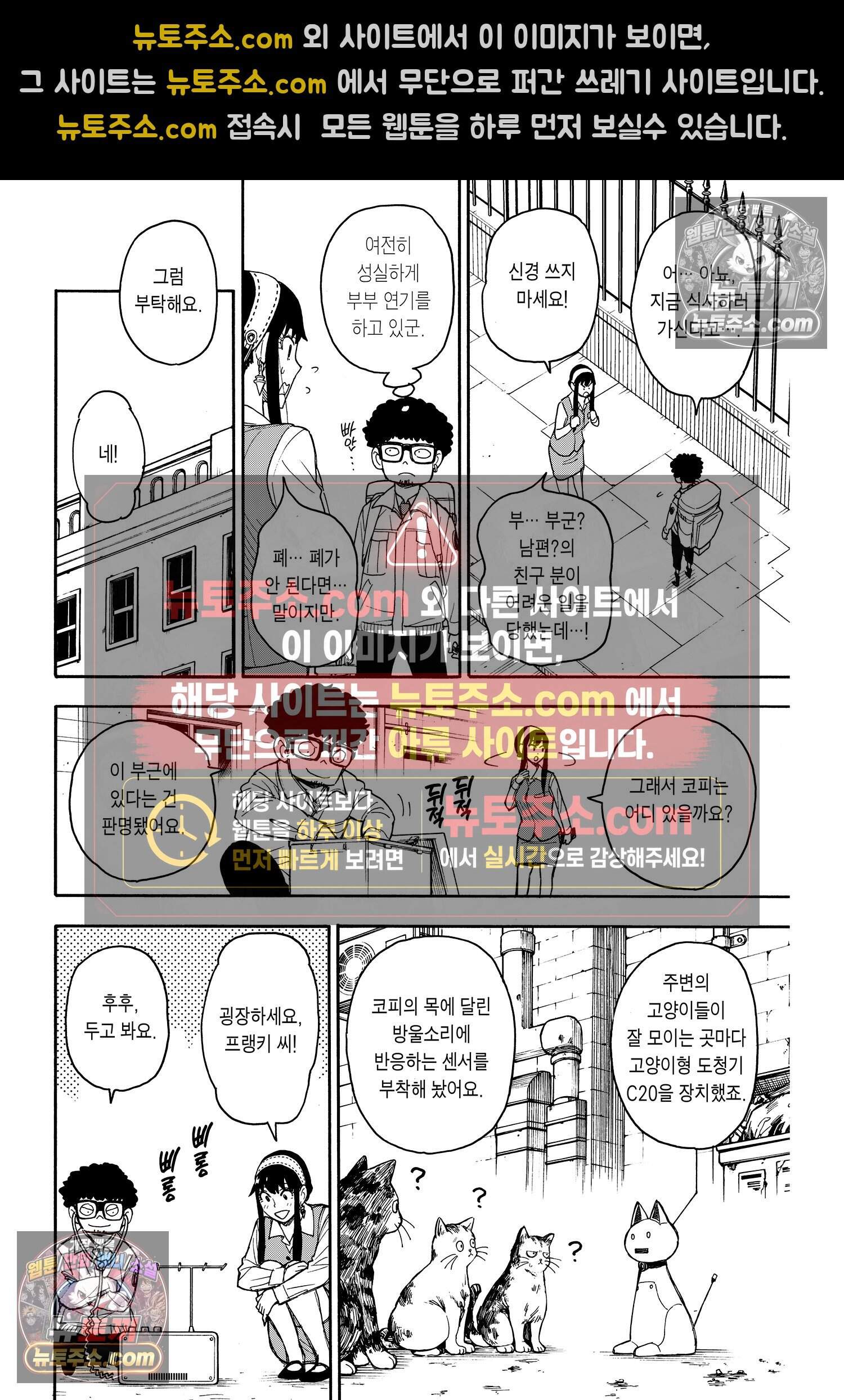 스파이 패밀리 MISSION : 43 9