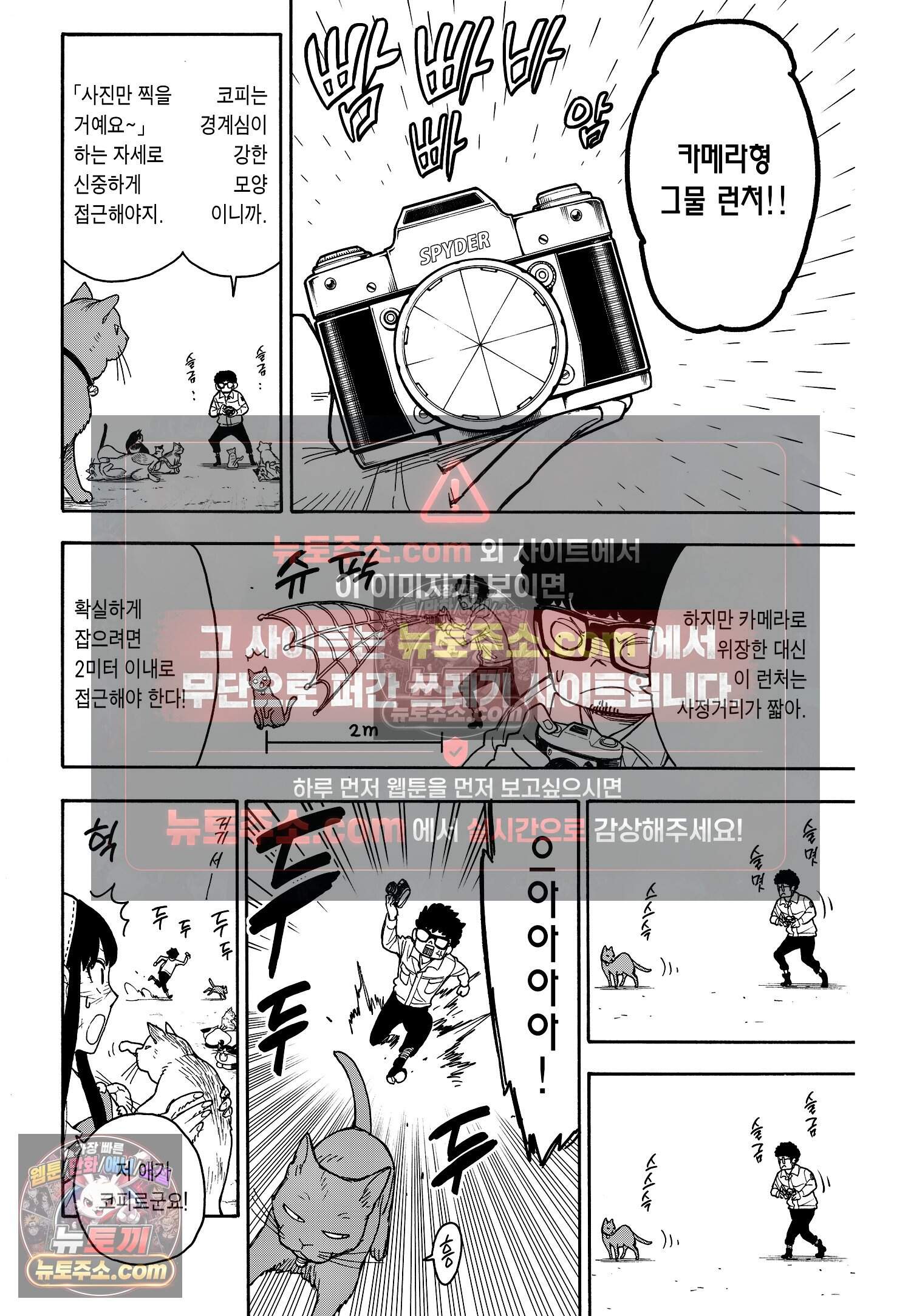 스파이 패밀리 MISSION : 43 13