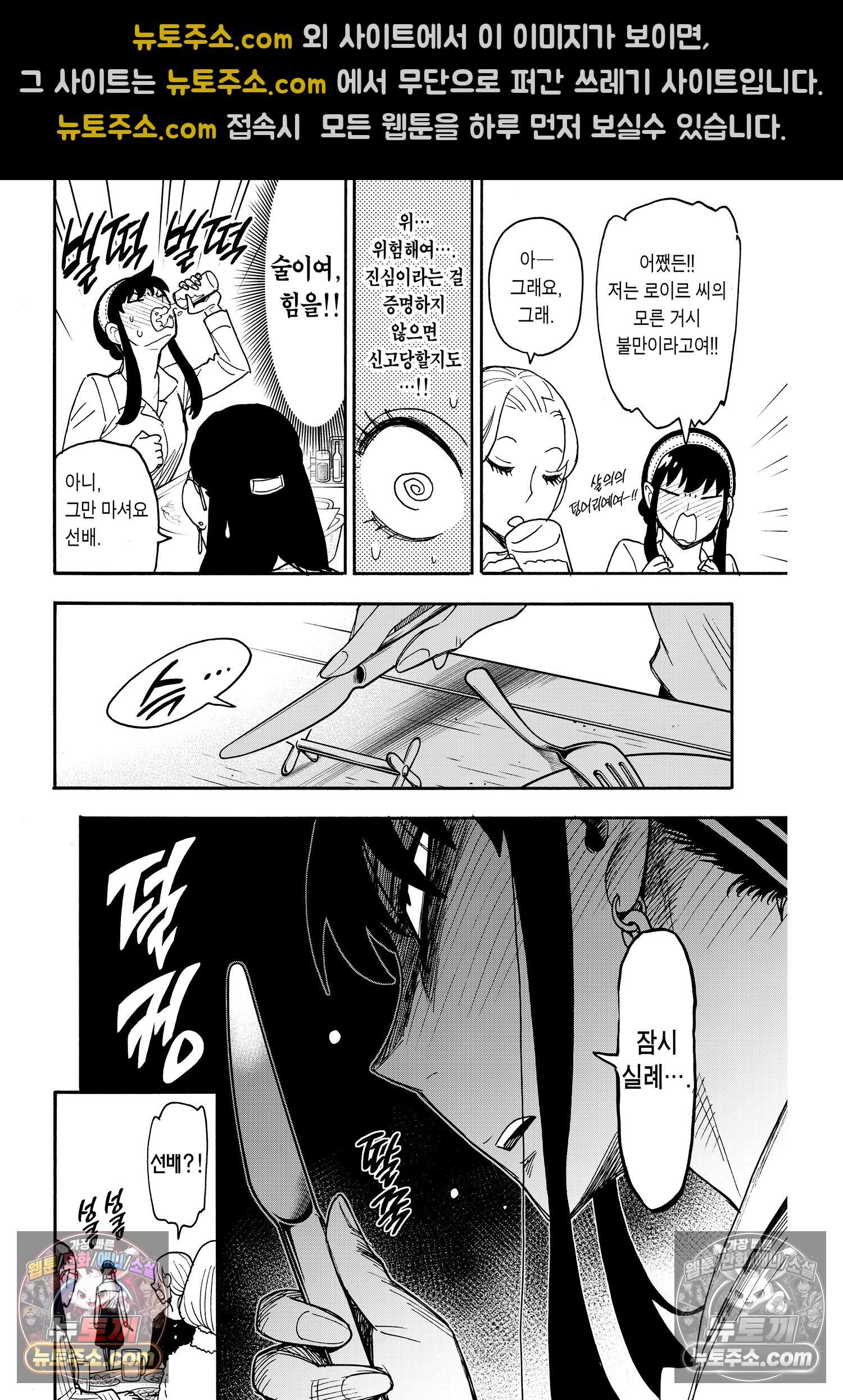 스파이 패밀리 MISSION : 79 11