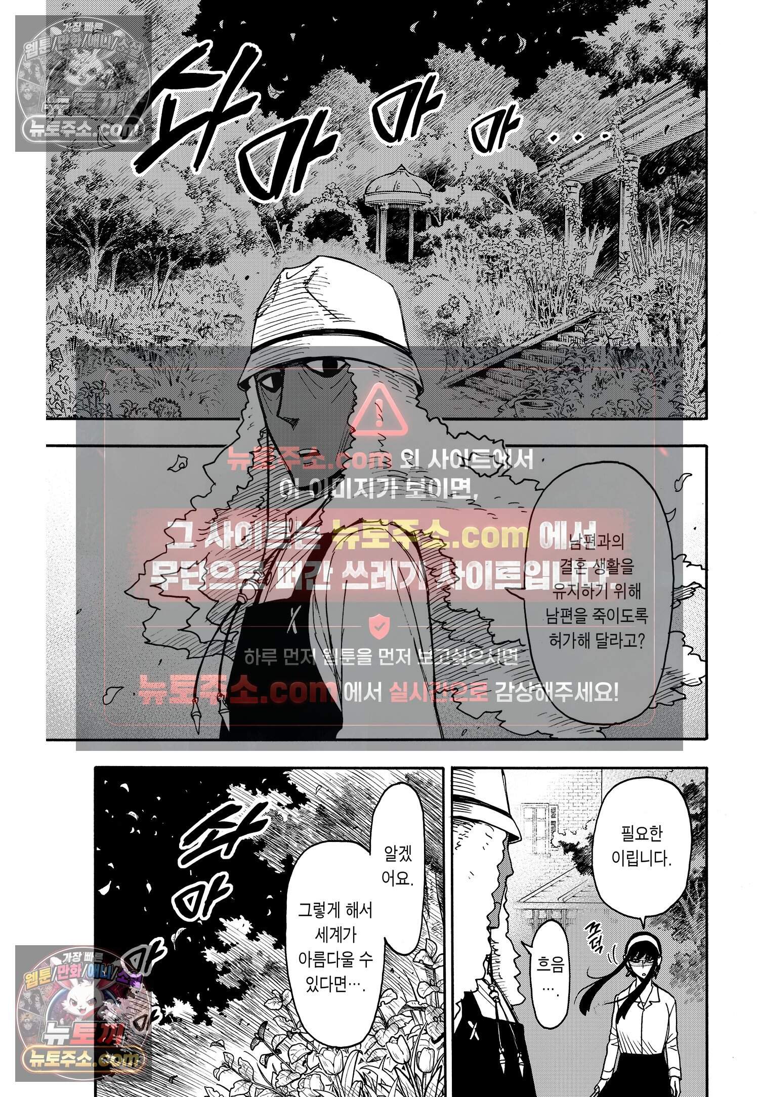 스파이 패밀리 MISSION : 79 12