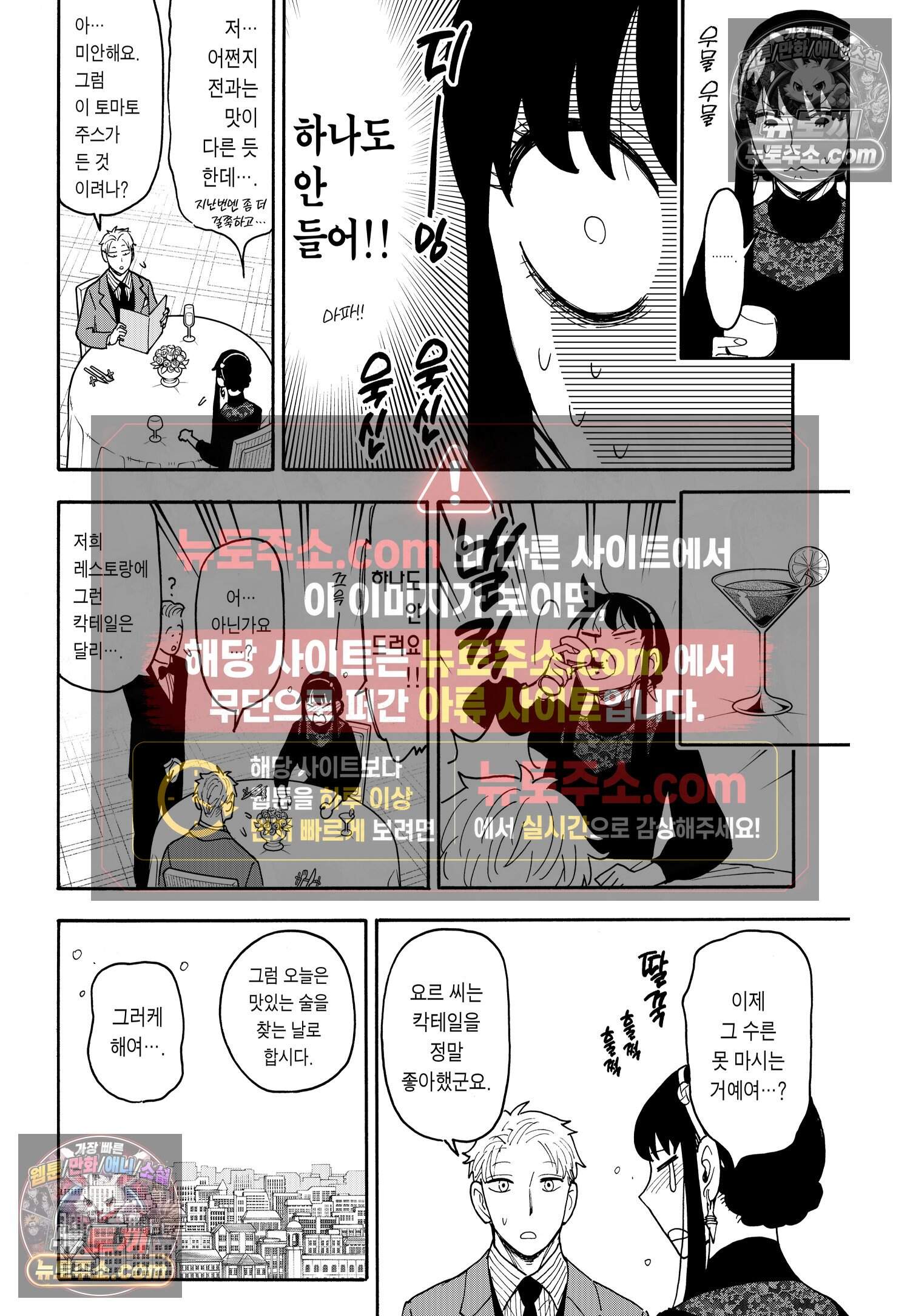 스파이 패밀리 MISSION : 119 11