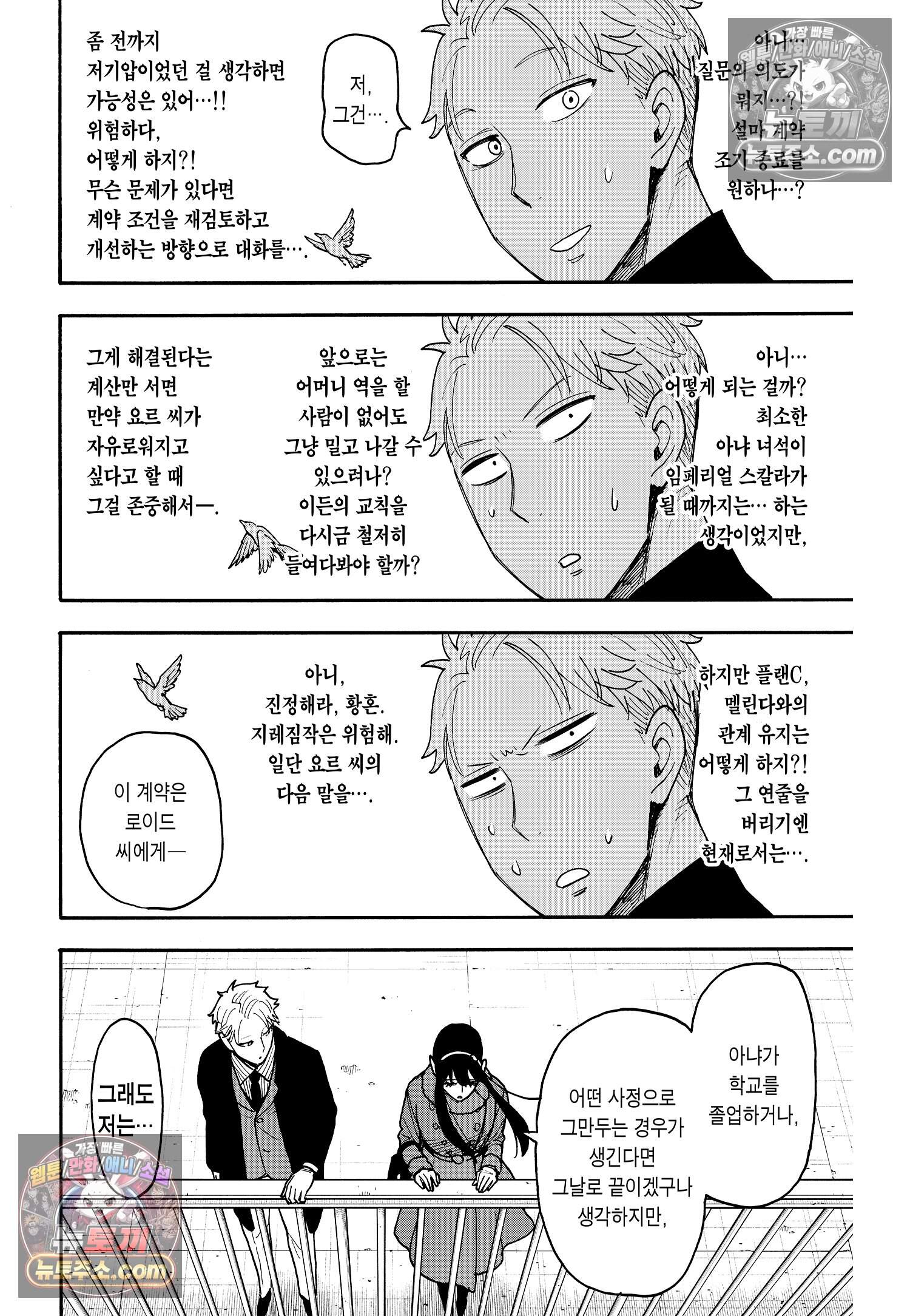 스파이 패밀리 MISSION : 119 23