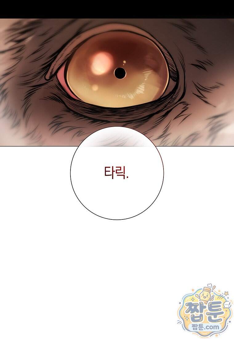 메리 배드 엔딩을 위한 공략집 18화 14