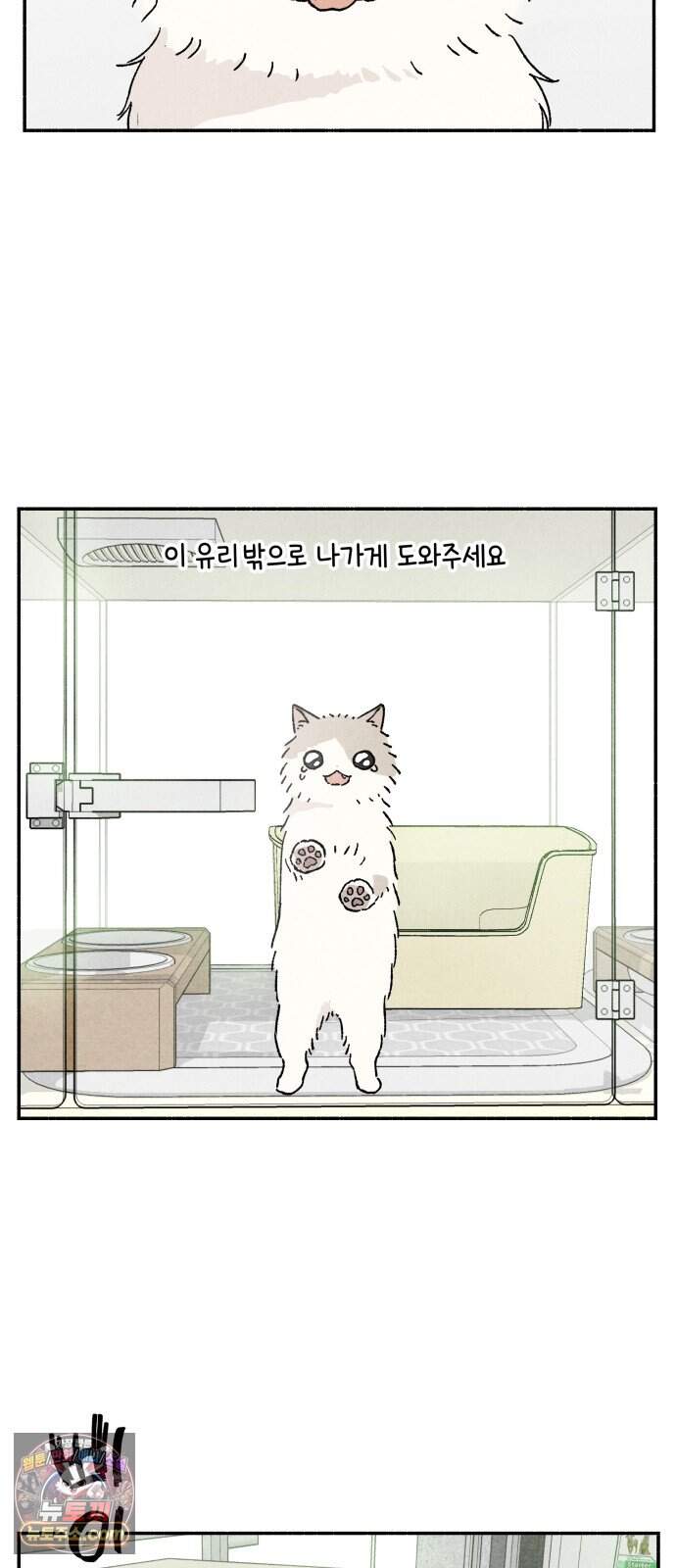 나랑 같이살아 5화 모모와 하루 5
