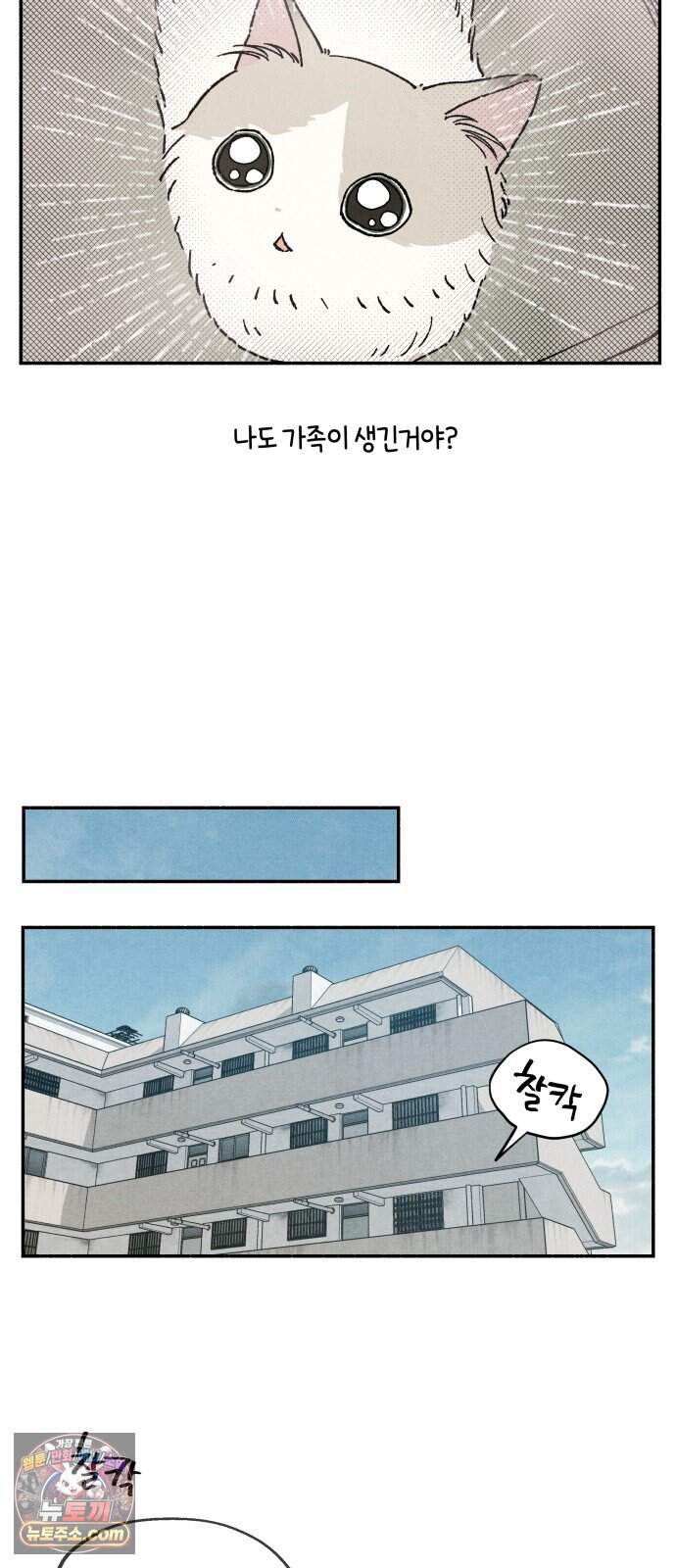 나랑 같이살아 5화 모모와 하루 9