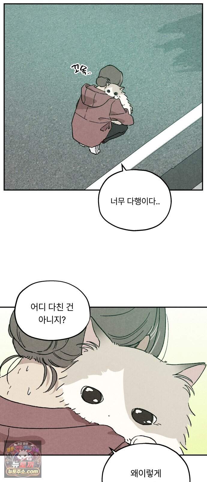 나랑 같이살아 6화 안녕, 하루 8