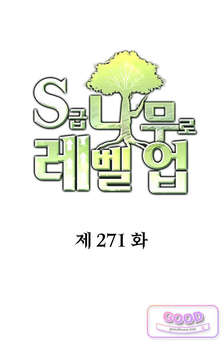 S급 나무로 레벨업 271화 1
