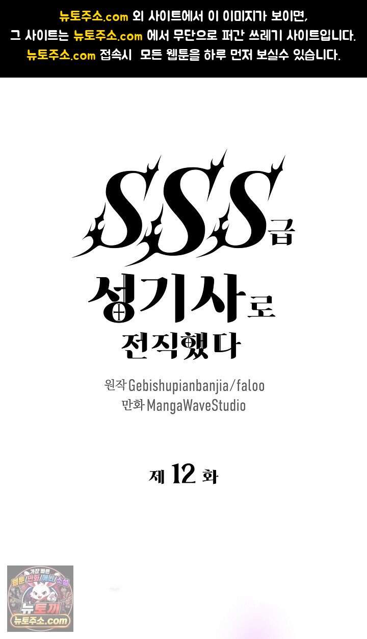 SSS급 성기사로 전직했다 012 1