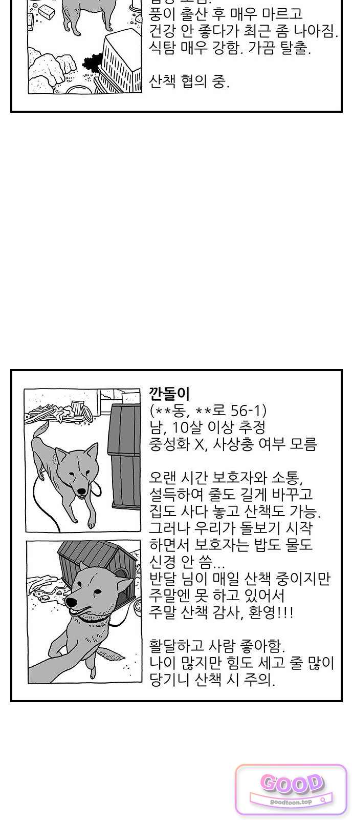 펫로스클럽 53. 시골개 돌봄방 2