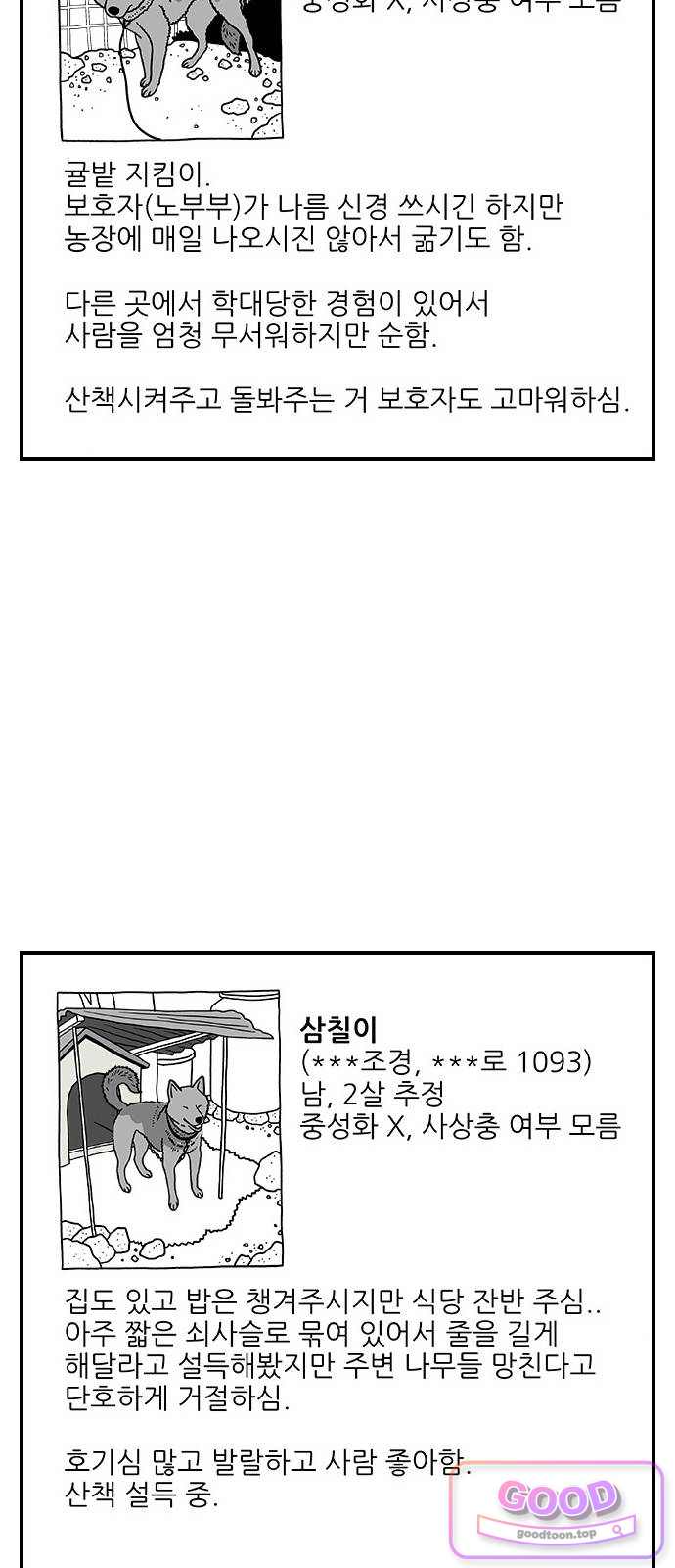 펫로스클럽 53. 시골개 돌봄방 4
