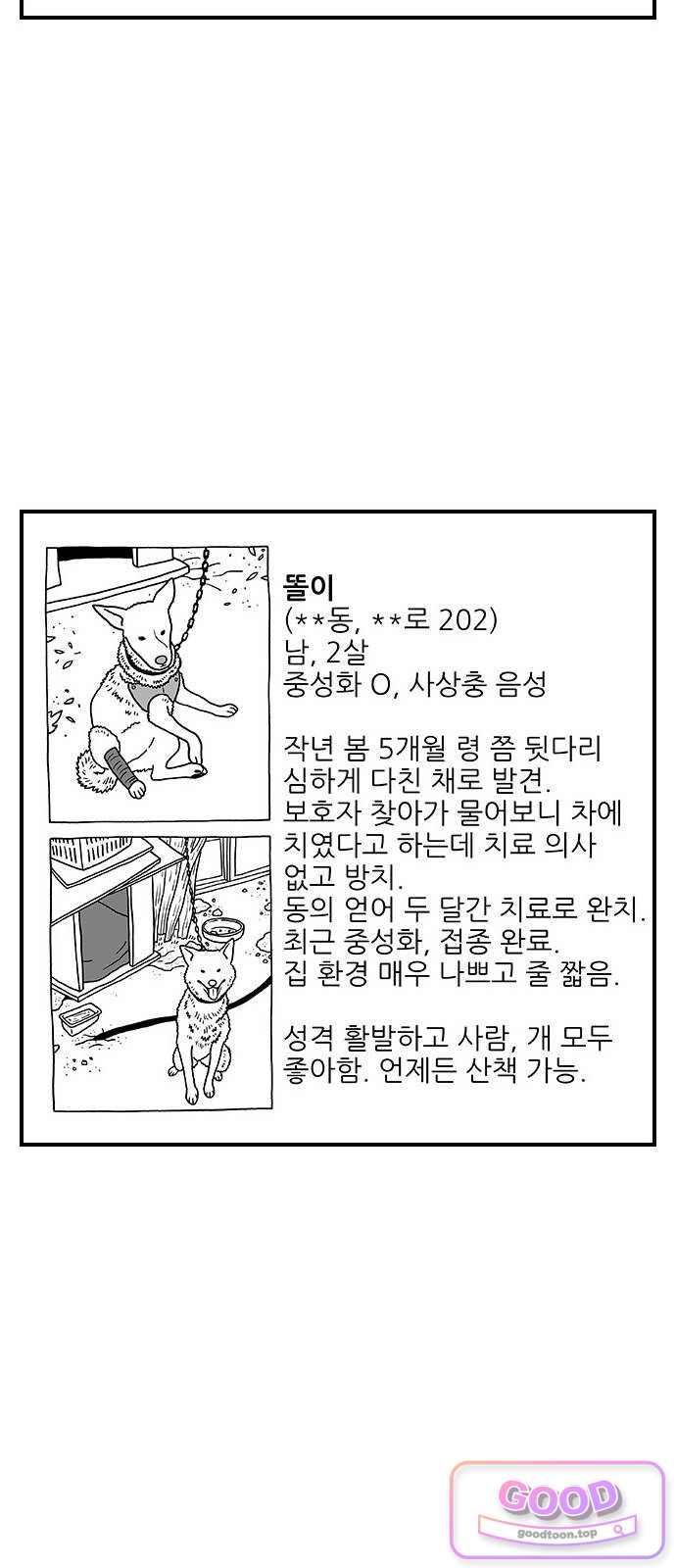 펫로스클럽 53. 시골개 돌봄방 5