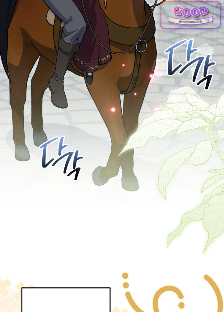 바이올렛 체로타의 졸속 결혼 24화 7