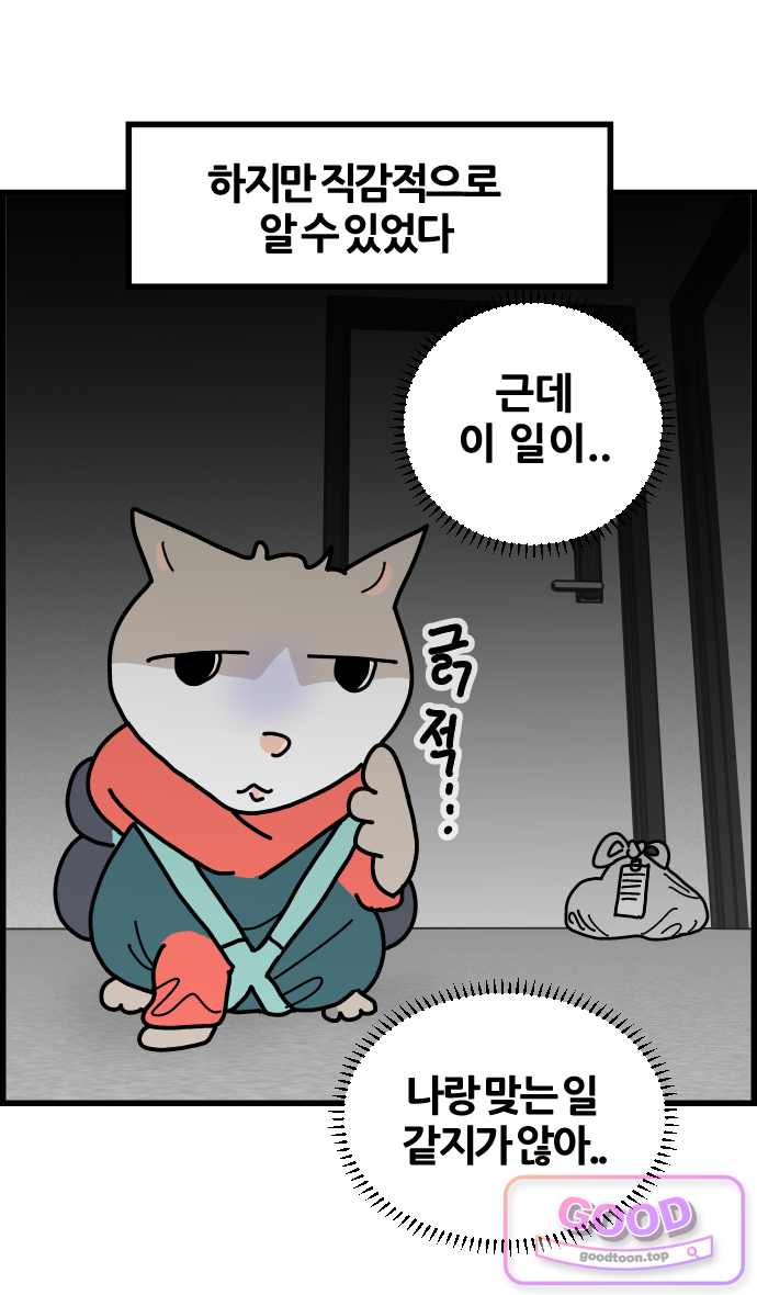 사회초년캣 41화 직감 4